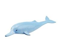 Modello Anatomico, Modello Ionico Di Assemblaggio, Modello Anatomico Animale, Modello Anatomico Di Delfini Bianchi, Modello Anatomico Di Organismo Marino Per Studio, Visualizzazione, Modalità Didatti