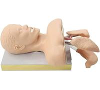 Modello anatomico Modello Scheletrico Modello addestramento all'intubazione tracheale Umana Modello Pratica la Gestione delle Vie aeree Attrezzatura didattica Dimostrazione della Struttura Anatomica