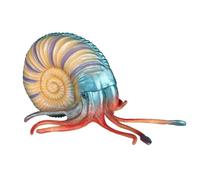 Modello Anatomico Simulazione Del Modello Nautilus, Decorazione Animale For L'istruzione Modello Didattico