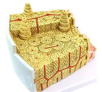 modello anatomico， Structural Anatomy Model, Exercise System Anatomical Micro Orthopedics Clinical Medical