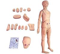 Modello anatomico Umano per manichino Infermieristico Maschile e Femminile a grandezza Naturale Multifunzionale per la Cura del paziente da 170 cm/5,57 Piedi