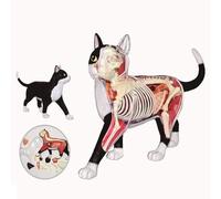 Modello anatomico veterinario 4D di gatto con 28 organi rimovibili - Scheletro semitrasparente e struttura degli organi, strumento didattico dettagliato per studenti di veterinaria,Black