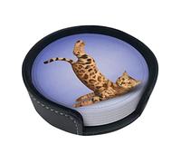 Modello Animale Gatto Divertente Postura Sotto chieri Tappetino per Bevande 6 Set di Motivi Animali Sotto chiere Rotondo Antiscivolo per Caffè, Birra, Tazza, Bottiglia di Vino, Casa e Bar