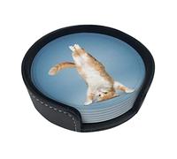 Modello Animale Gatto Divertente Postura Sotto chieri Tappetino per Bevande 6 Set di Motivi Animali Sotto chiere Rotondo Antiscivolo per Caffè, Birra, Tazza, Bottiglia di Vino, Casa e Bar
