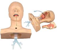 Modello avanzato di pratica di aspirazione - cavità nasale e aspirazione orale del manichino espettorato per l'educazione del paziente e strumento didattico, PVC