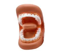 Modello Bocca - Bocca Morbida Portatile Modellazione di Denti Falsi Portatile Morbido per l'apprendimento Pratico, Modello Falso per Adulti e Classe