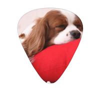 Modello Cavalier King Charles Spaniel,12 pezzi di plettri per chitarra, 3 plettri di diverso spessore per chitarra acustica, basso, ukulele