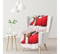 Modello Cavalier King Charles Spaniel,Coperta morbida, calda, anti-pilling, in flanella, peluche, 76 x 102 cm