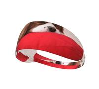 Modello Cavalier King Charles Spaniel,Fascia elastica per capelli multiuso unisex, fascia antisudore sportiva