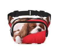 Modello Cavalier King Charles Spaniel, Marsupio quadrato a doppio strato, borsa da viaggio, marsupio casual