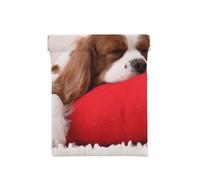 Modello Cavalier King Charles Spaniel, Spremere il portafoglio superiore da donna Borsa portaoggetti Piccola portamonete Portamonete