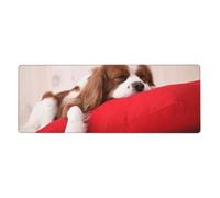 Modello Cavalier King Charles Spaniel,Tappetino per mouse grande, da scrivania, per tastiera e computer, con base in gomma antiscivolo, 30 x 80 cm