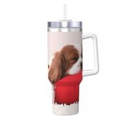 Modello Cavalier King Charles Spaniel,Tazza Ice Bully da 40 oz con manico, in acciaio inossidabile, con borraccia