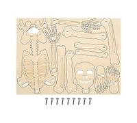 Modello Corpo Umano per Bambini,Giocattolo da Montare 30 cm - Figura di Scheletro - Modello Giocattolo Educativo 30 cm da Montare per Bambini Studenti Studio Scienza Insegnamento Decorazione Classe Ha