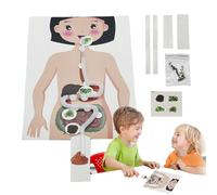 Modello Del Corpo Di Anatomia - Kit Di Modelli Di Scheletro Del Corpo Umano, Kit Di Scienze Anatomiche Interattive | Giocattolo Educativo Insegnamento Scientifico Divertente Ed Educativo Per Bam