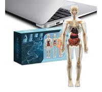 Modello del corpo umano, 11.22x3.94 pollici, kit di anatomia interattiva per bambini, strumenti di apprendimento delle scienze educative con dettagli ossei e di per le attività homeschool della