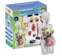 Modello del Corpo Umano per Bambini da 8, 5 Pollici Rimovibili in Gravidanza Modello di Anatomia Umana Kit scienze educative per Giocattoli precoce