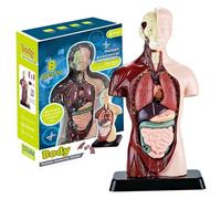 Modello del corpo umano per bambini, giocattolo di anatomia umana realistica da 9, 6 pollici con 6 pezzi di organi rimovibili, giocattoli educativi per il corpo interattivo per bambini di età compresa