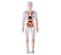 Modello del corpo umano per bambini Modello di anatomia 3D Visualizzabile Visualizzabile Visualizzato ILLUCIMENTO I giocattoli scientifici coltivano esplorare le abilità pratiche della curiosità, pie