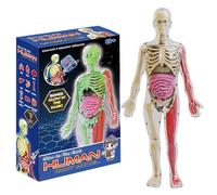 Modello del corpo umano per bambini, modello realistico di anatomia umana che illumina al buio, corpo staccabile fai-da-te, anatomia educativa per bambini
