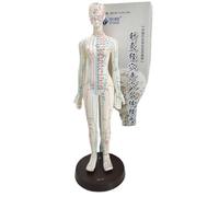 Modello del meridiano di agopuntura del corpo umano femminile, modello del punto di agopuntura umano da 48 cm, modello del punto di agopuntura cinese Modello di agopuntura del punto di pressione