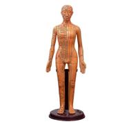 Modello del meridiano in PVC, punto di agopuntura umano, modello del corpo di donne e uomini, 40 cm, apparecchi didattici medici, oro bianco e rame.(Yellow woman)