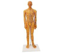 Modello del Punto di Agopuntura del Corpo Umano da 53 Cm, Manichino Per L'insegnamento della Medicina Cinese Artigianato in PVC Modello del Corpo Accurato del Punto di Agopuntura con Base Robusta Per