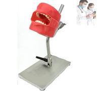 Modello del simulatore del dente dentale per l'addestramento | Simulatore dentale di alta qualità per una formazione efficace nell'igiene orale.