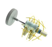 Modello dettagliato del midollo spinale e del nervo della struttura ampliata per il modello permanente del midollo spinale del piano del PVC di studio di insegnamento clinico