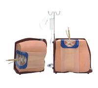 Modello di addestramento alla puntura spinale, modello di addestramento clinico all'anestesia spinale ed epidurale, addestramento for uso medico