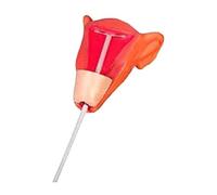 Modello di addestramento con copertura trasparente, simulatore di ginecologia femminile a grandezza naturale for la pratica delle procedure contraccettive Modello di organo