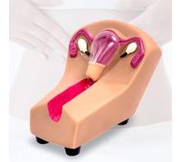 Modello di addestramento for dispositivi intrauterini femminili, modello di utero e ovaie in PVC trasparente, guida all'addestramento, inserimento e rimozione di dispositivi intrauterini