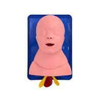 Modello di addestramento per l'intubazione infantile Modello Modello di addestramento per l'intubazione delle vie aeree del bambino Modello di addestramento tracheale