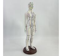 Modello di agopuntura Altezza 54 cm Modello di corpo umano in PVC leggero