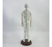 Modello di agopuntura Altezza 54 cm Modello di corpo umano in PVC leggero