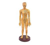 Modello di agopuntura femminile, Acupoint e Meridian Human Body Body Punto di pressione Punto e meridiani per l'insegnamento del massaggio meridiano