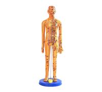 Modello di agopuntura medica cinese, corpo intero con base di supporto, modello