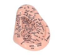 Modello di Agopuntura 'orecchio in Silicone 6.7 Pollici Ergonomici con Punti Incisi per l'uso Domestico e di Laboratorio