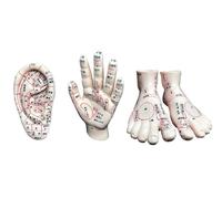 Modello di agopuntura Piede, Modello della Mano di agopuntura, Modello di agopuntura Auricolare, Punti meridiani, 3 PC Massaggio di Medicina Umana Cinese per l'istruzione Aiuto per la Formazione