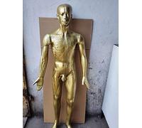Modello di agopuntura umana - Modello meridiano di agopuntura maschio della medicina cinese da 175 cm per massaggio cinese, assistenza sanitaria medica