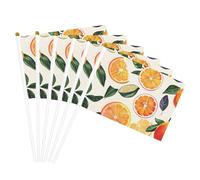 modello di agrumi Stampa Convenienza Palmare Bandiera Leggero Bandiere Decor Indoor Outdoor Eventi Feste