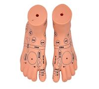 Modello di allenamento per massaggi pediatrici con punti di agopuntura, modello anatomico per bambini per la formazione di caregiver e infermieristica domestica per il massaggio infantile