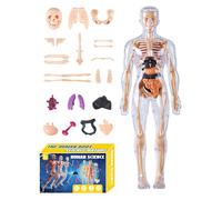 Modello di anatomia 3D per bambini - Giocattolo modello di scheletro umano,Kit educativo anatomico di montaggio per educatori di scienze studenteschi educativi educativi insegnanti di classe