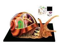 Modello di Anatomia Animale 4D, Modello di Anatomia Dell'organo E Scheletro di Lumache, 32 Organi E Corpo per L'educazione Medica E Biologica degli Animali
