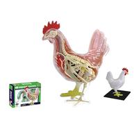 Modello di Anatomia del Cane 4D, Scheletro di Gatto/Cavallo/Mucca/Maiale/Animale, Esemplare di Scheletro di Animale, biologia Staccabile, Clinica veterinaria per Animali Domestici(C)
