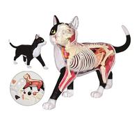 Modello di Anatomia del Cane 4D, Scheletro di Gatto/Cavallo/Mucca/Maiale/Animale, Esemplare di Scheletro di Animale, biologia Staccabile, Clinica veterinaria per Animali Domestici(B)