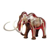 Modello di anatomia del mammut lanoso 4D - Modello di animale selvatico, biologia staccabile in 30 parti, for dimostrazione didattica della scuola di formazione veterinaria della clinica for animali d