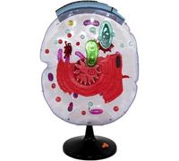 Modello di anatomia della cellula vegetale, modello di cellula vegetale trasparente ingrandita in sezione trasversale rimovibile, for l'insegnamento della visualizzazione dello studio.
