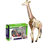 Modello di anatomia della giraffa con visione 4D, modello didattico medico 27 parti dello studio del corpo dell'organo modello didattico di anatomia dello scheletro