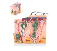 Modello di anatomia della pelle, struttura ingrandita 50X con capelli, 25 parti etichettate per insegnamento di biologia e chirurgia estetica